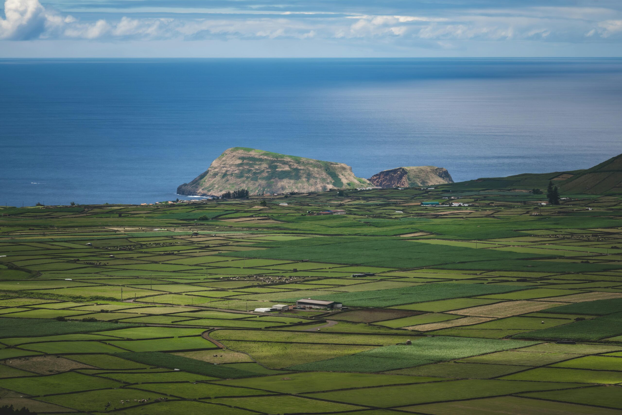 Scenic Coastal Farmland with Ocean View